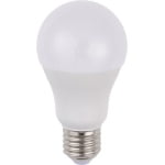 SPL E27 Peerlamp 10W Warmwit opaal 12-60V AC/DC-0