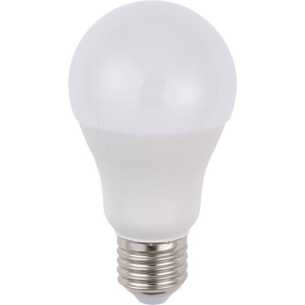 SPL E27 Peerlamp 10W Warmwit opaal 12-60V AC/DC-0
