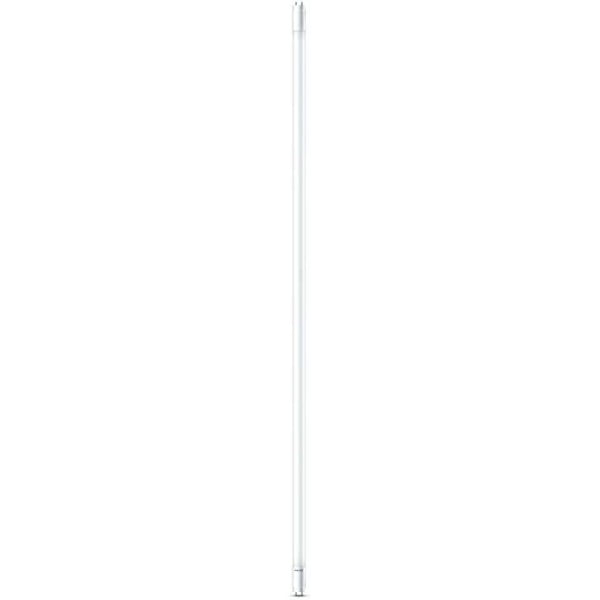 Philips G13 buislamp 121,2cm 16W Daglicht-26602