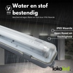 LED TL armatuur grijs met transparante kap onder stromende regen buiten