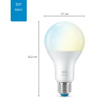 WiZ Smart LED A67 E27 13W 2700-6500K CCT dimbaar-27775