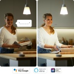 WiZ Smart LED A67 E27 13W 2700-6500K CCT dimbaar-27776