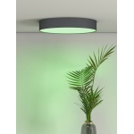 Calex Smart Plafonnière Ø40CM RGB + CCT-29230