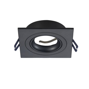 Ledl PASIPHEA Inbouwspot Zwart Kantelbaar