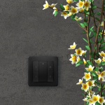 EcoDim Zigbee Draadloze Wandschakelaar 2 Zone Zwart-31013