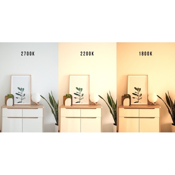 SPL E27 Peerlamp 6W Dim to Warm Helder-31606