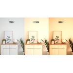 SPL E27 Globe 125 6W Dim to Warm Helder-31609