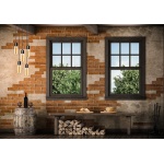 SPL E27 Buislamp 6,5W Flame Goud Dimbaar-31589