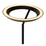 Vloerlamp met ronde zwarte ring en warmwit dimbaar licht
