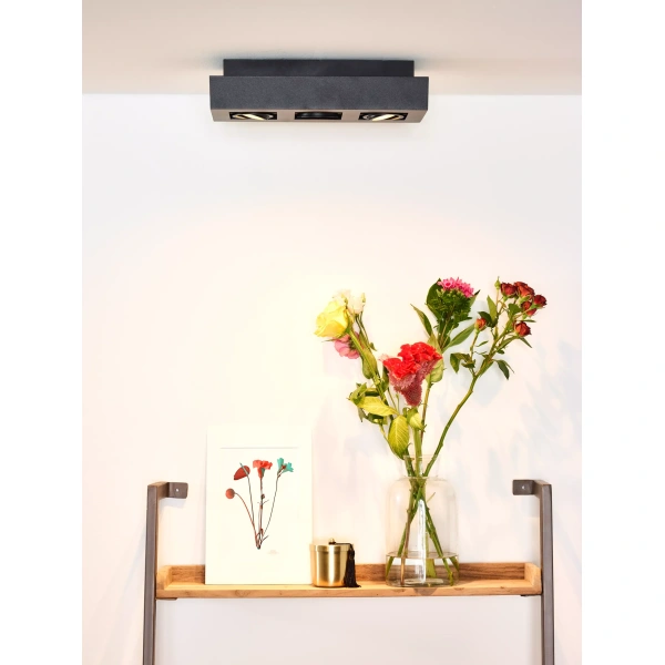 Zwarte opbouwspot met drie lichtpunten boven houten plank met bloemenvaas