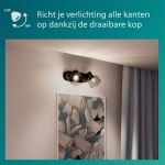 Zwarte plafondspot met twee draaibare lampkoppen en gerookt glas boven schilderij