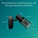 Philips Palms plafondspot zwart met gerookt glas maat tekening