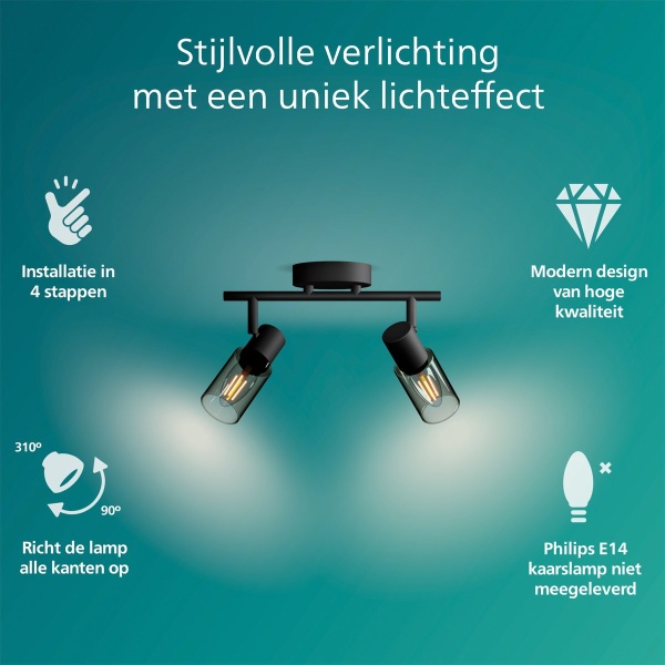 Zwarte plafondspot met twee verstelbare lampen en gerookt glazen kappen