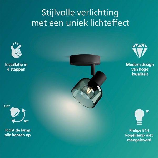 Zwarte plafondspot met gerookt glazen kap en verstelbare richtfunctie