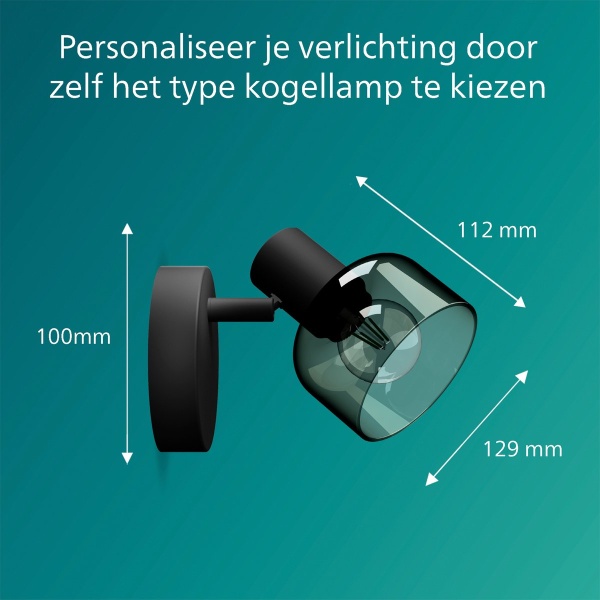 Philips zwarte plafondspot met gerookt glazen kap en maattekening