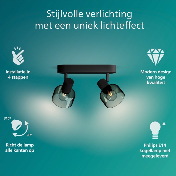 Zwarte plafondspot met twee verstelbare lampen en gerookt glazen kappen