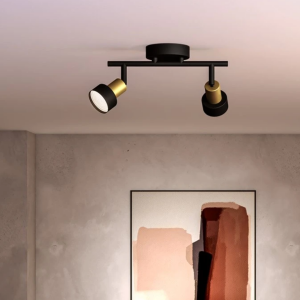 Zwarte en gouden plafondspot met twee verstelbare lichtpunten in moderne woonkamer