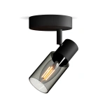 Philips PALMS Plafondspot 1 Lichts Zwart Met Gerookt Glas