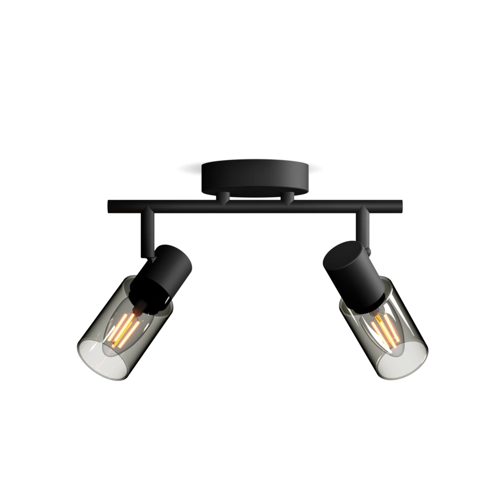 Philips PALMS Plafondspot 2 Lichts Zwart Met Gerookt Glas