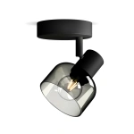 Philips SLEET Plafondspot 1 Lichts Zwart Met Gerookt Glas