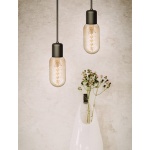 Hangende buislampen met goudkleurig filament boven vaas met takjes.