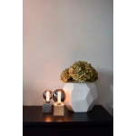 Twee brandende titanium globe lampen naast witte vaas met hortensia’s