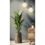 sfeerbeeld lampen aan: SPL E27 Fila Globe 95 Kopspiegel Goud 6,5W Extra Warmwit Dimbaar