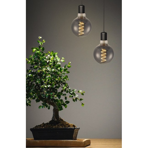 sfeerbeeld 2 lampen aanSPL E27 Globe Fila Spiraal 4.5W Flame Smoke Dimbaar: