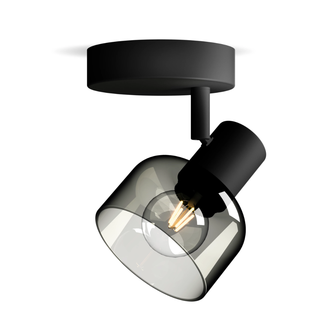 icoon: 1-Lichts Spotlampen