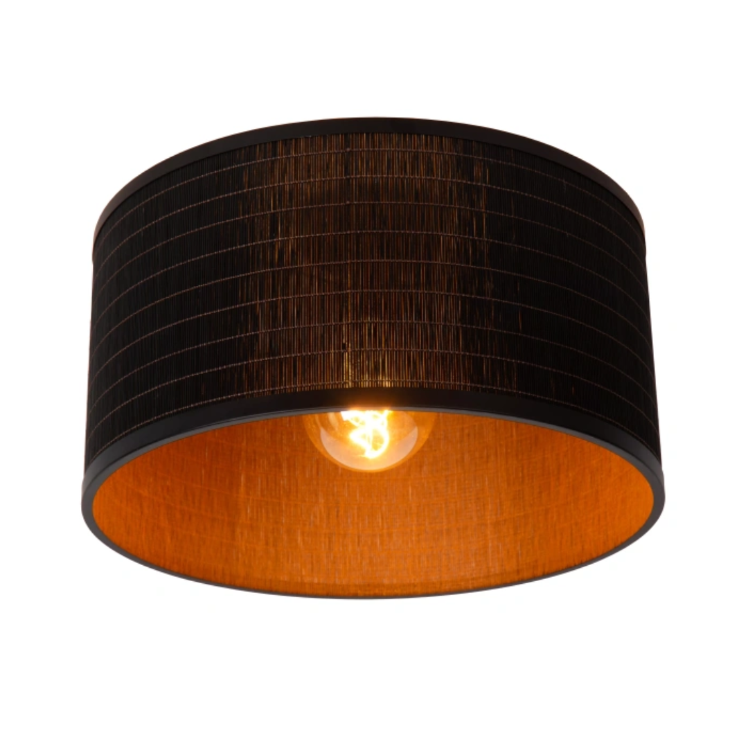 plafondlampen icoon: Plafondlampen