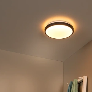 Zwarte plafonniere met bewegingssensor en warm wit licht in badkamerinterieur