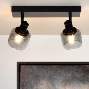 Zwarte plafondspot met twee verstelbare lichtpunten en glazen kappen boven schilderij