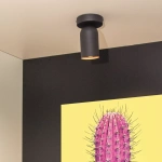 Zwarte cilindervormige plafondspot met één lichtpunt in moderne woonkamer