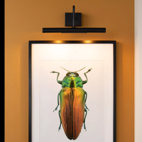 Zwarte schilderijverlichting met twee G9-lichtpunten boven ingelijst kunstwerk aan muur