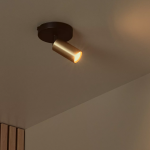 Gouden metalen plafondspot met één lichtbron in moderne interieursetting