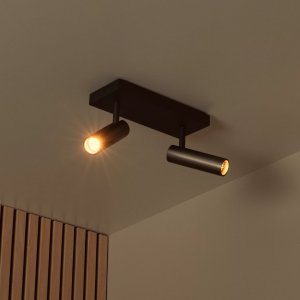 Grijze metalen plafondspot met twee verstelbare lichtbronnen in moderne woonkamer